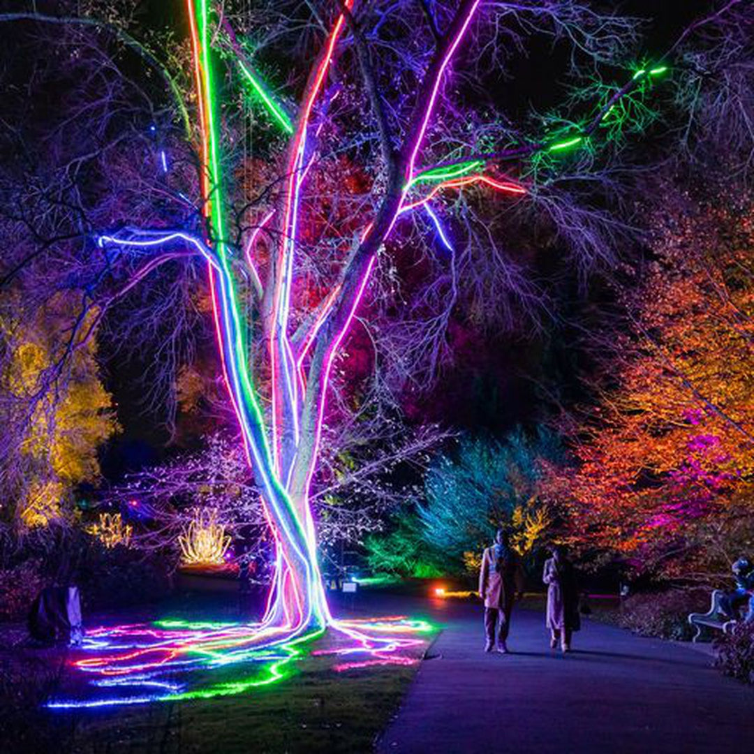 Lightscape at the Brooklyn Botanical Garden