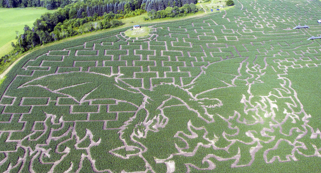 Road Trip to the Great Vermont Maze