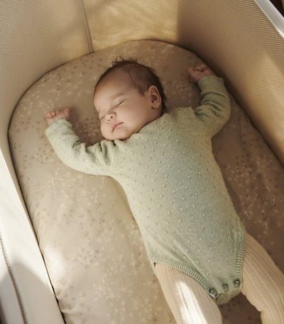 The Bassinet