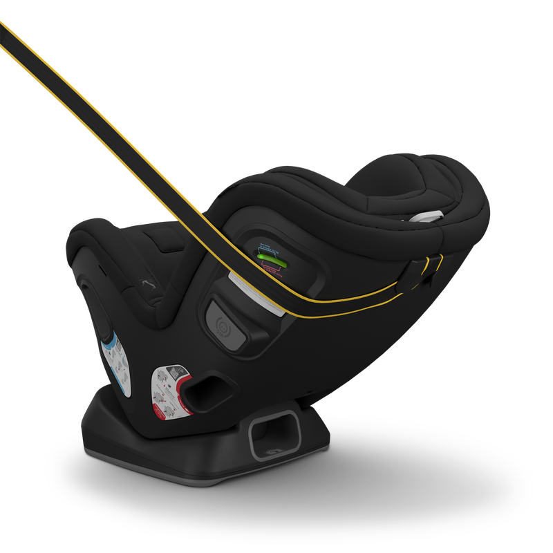 Rove Convertible Car Seat by UPPAbaby