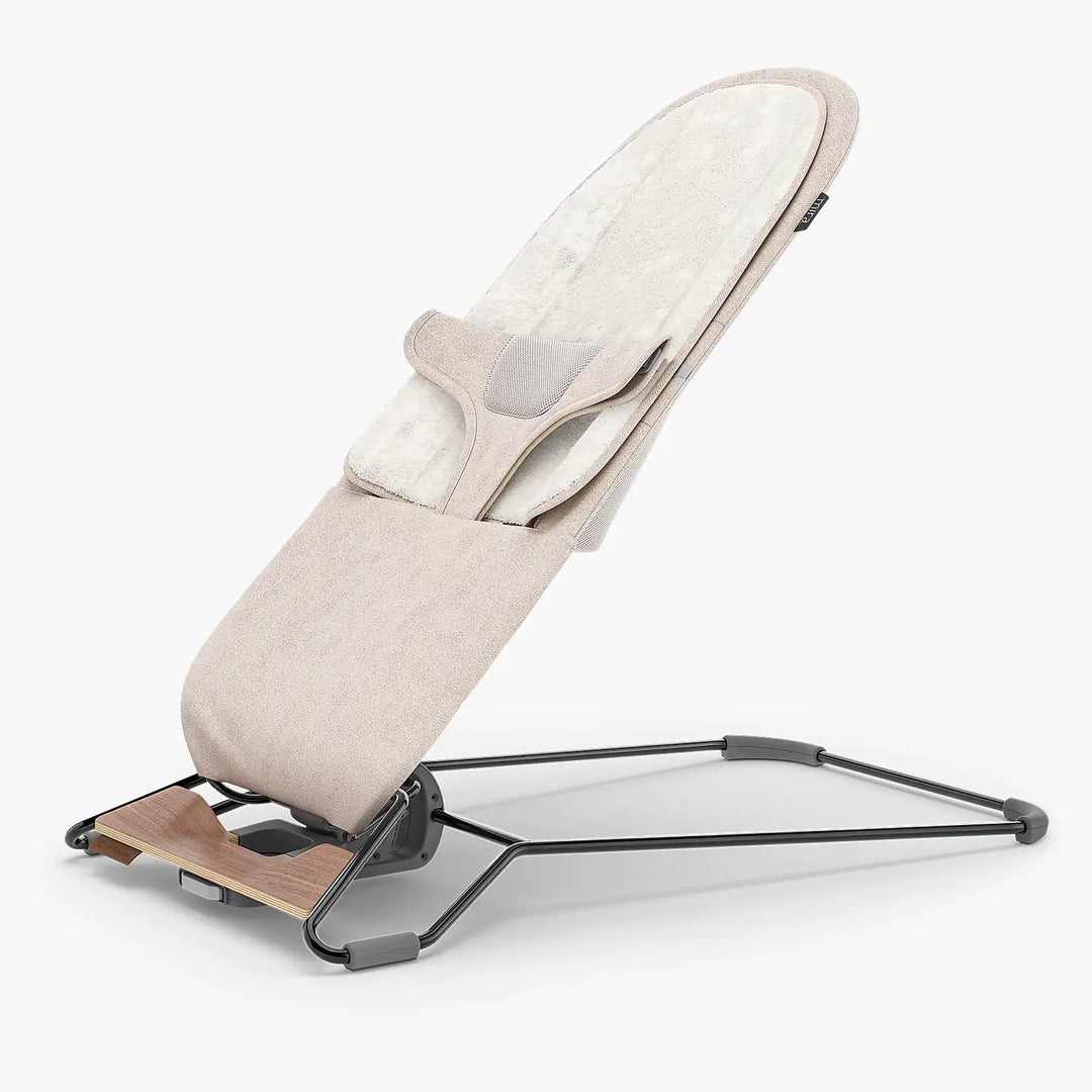 Mira 2-in1 bouncer by UPPAbaby