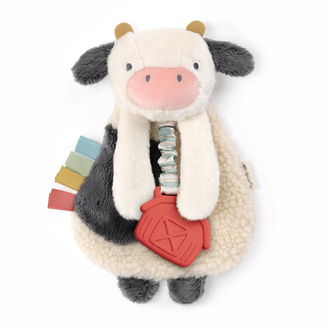  Itzy Lovey Plush and Teether Toy by Itzy Ritzy 