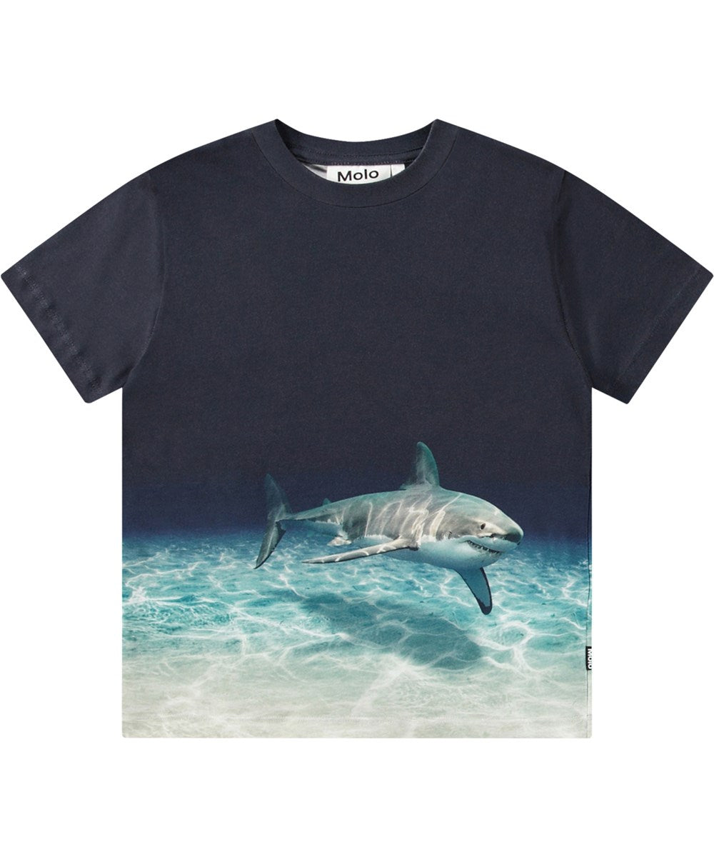 Roxo Faded Shark Tee by Molo