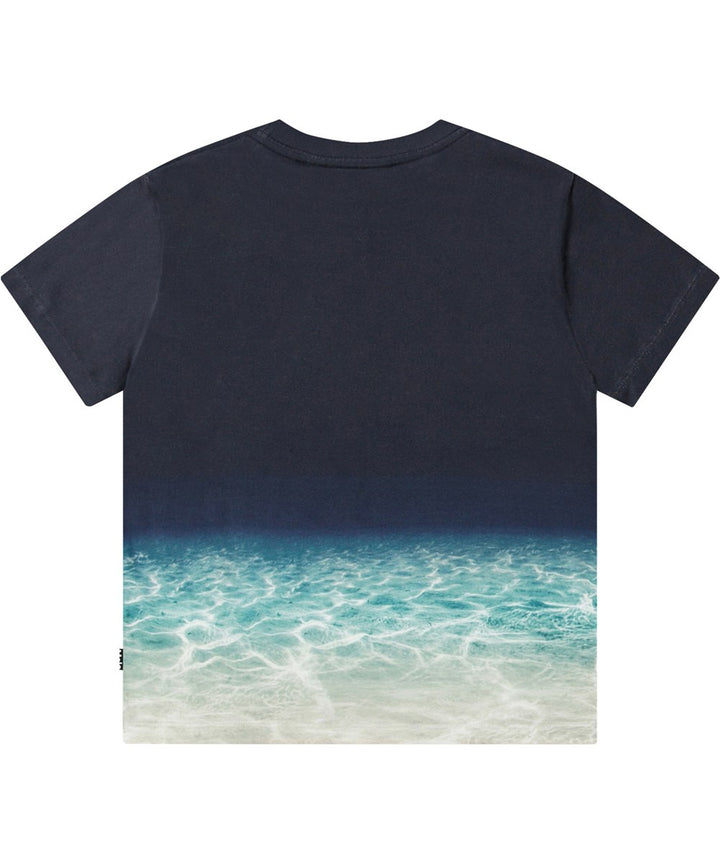 Roxo Faded Shark Tee by Molo