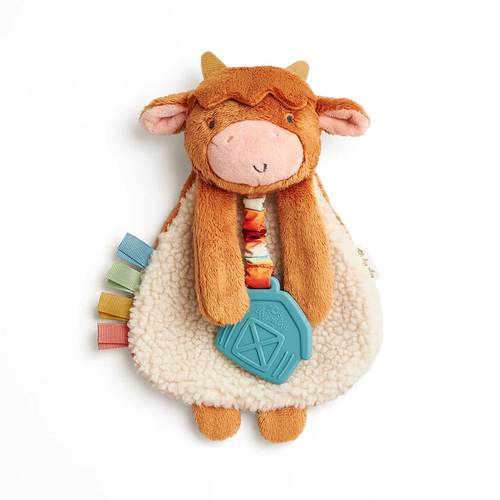  Itzy Lovey Plush and Teether Toy by Itzy Ritzy 