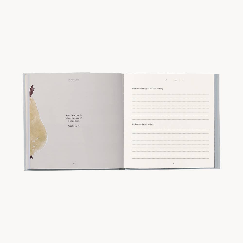 My Pregnancy Memory Book