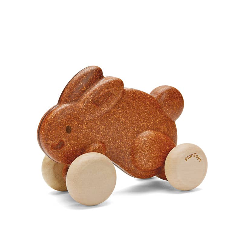 Push Along Bunny by Plantoys