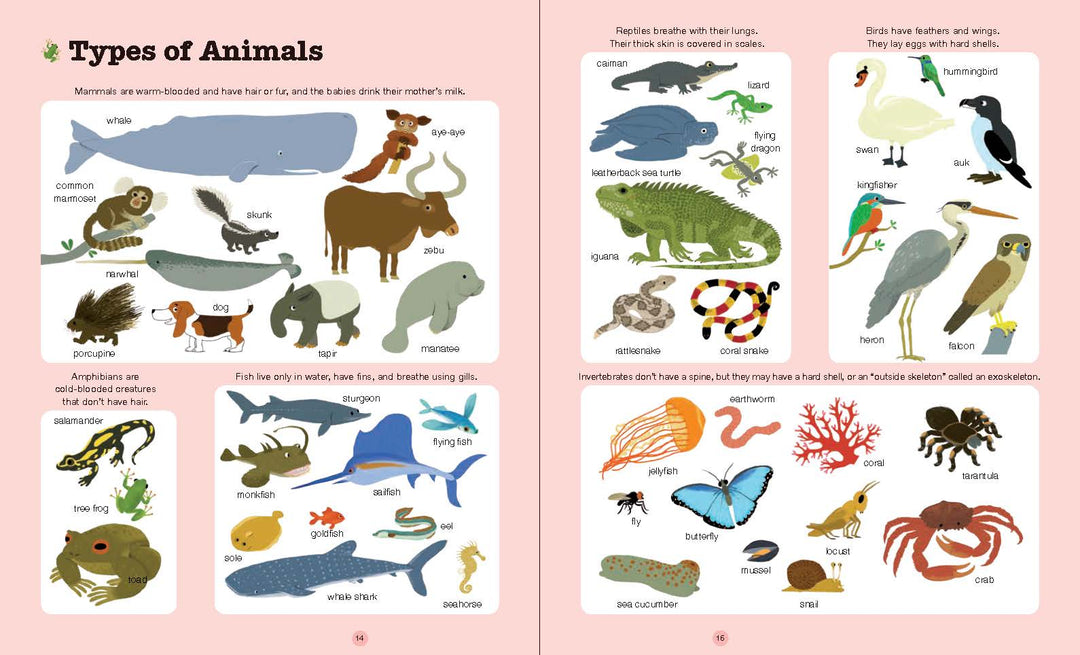 Do You Know?: Animals by Chronicle Books at Babesta