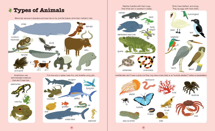 Do You Know?: Animals by Chronicle Books at Babesta