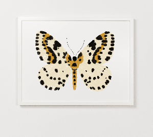 Yellow Butterfly Art Print