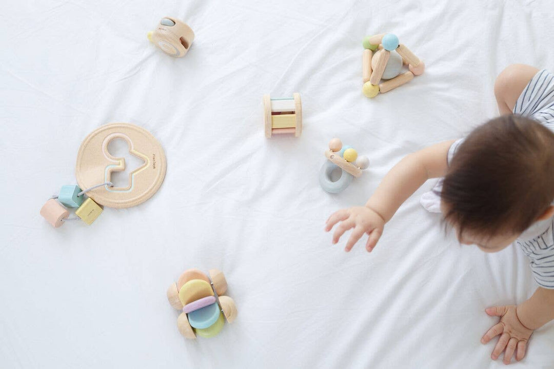 Shape Sorter by PlanToys!