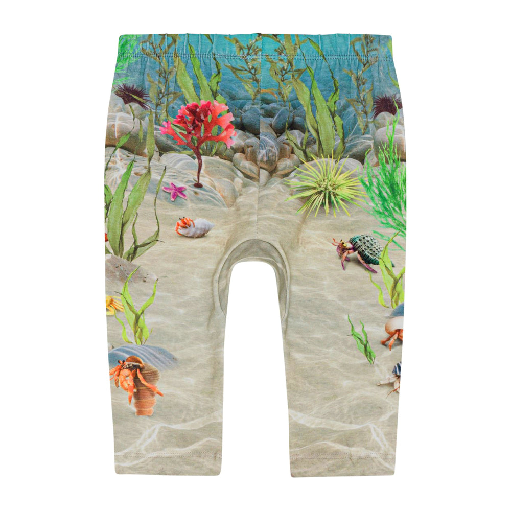 Tropic Sea Pants by Molo