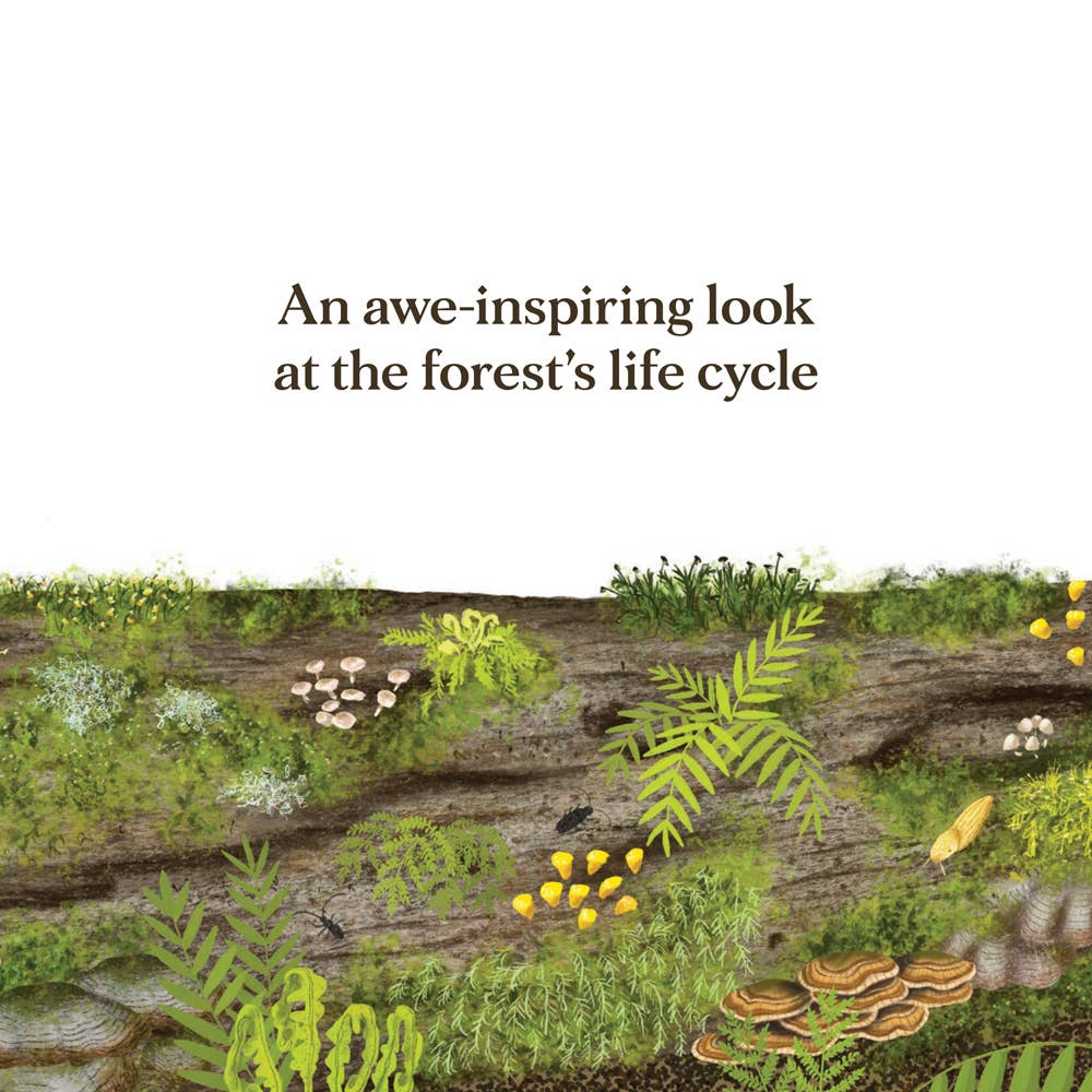 When a Tree Falls Book by Chronicle Books at Babesta