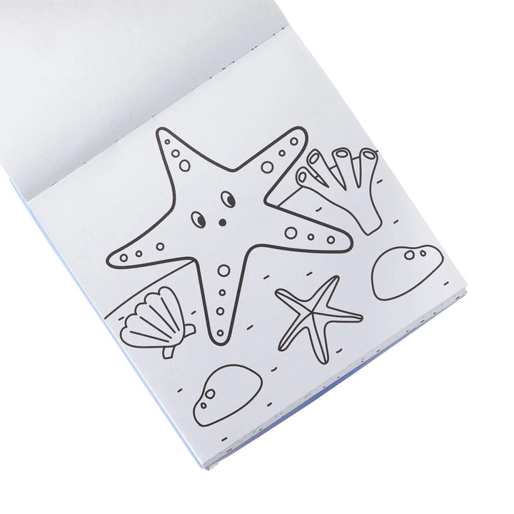 Starfish and shell drawings on a white surface