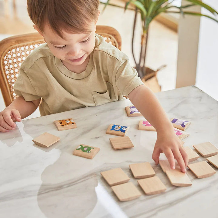 Animals Memo Game by PlanToys.