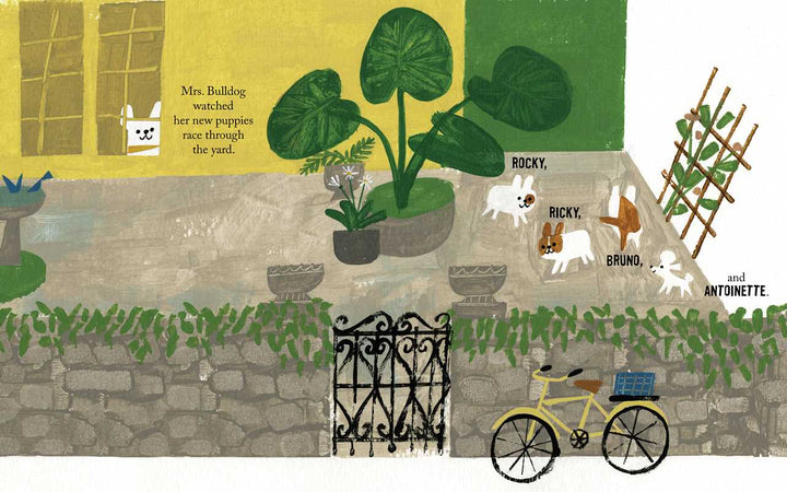 Babesta Antoinette Book