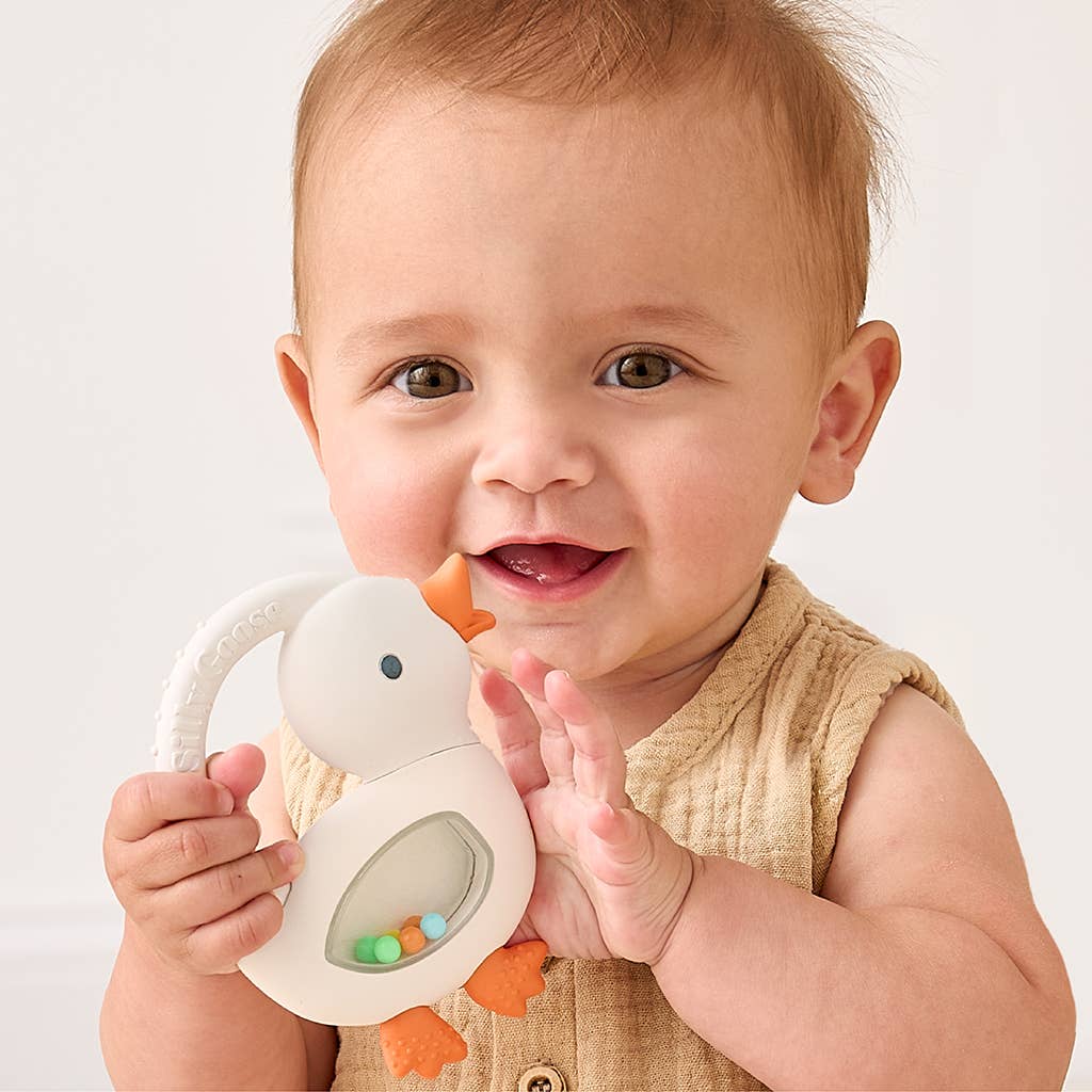  Babesta Bitzy Shake Silicone Teether with Rattle by Itzy Ritzy
