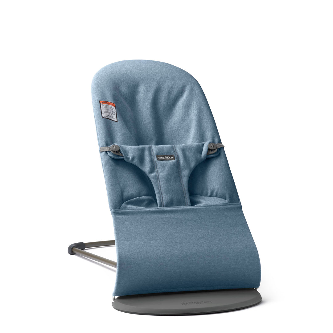 Babesta Bouncer Bliss Bouncer by Baby Bjorn 
