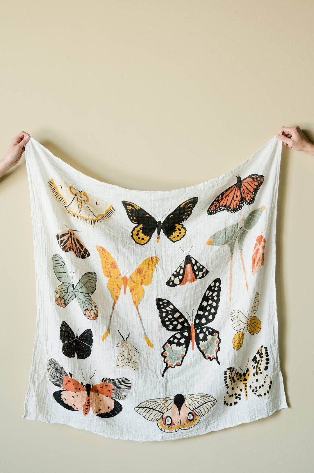 Babesta Butterfly Collector Swaddle 