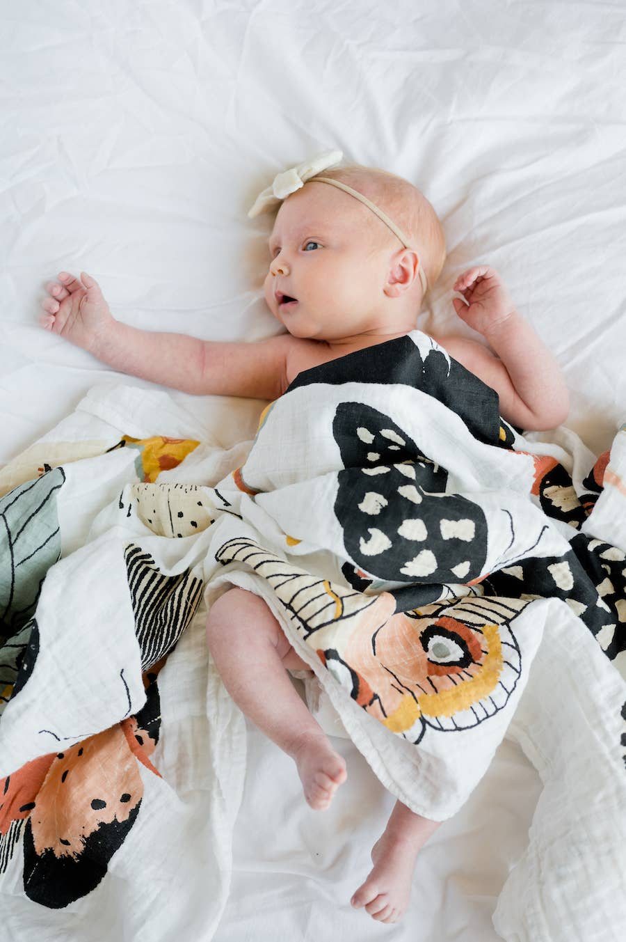 Babesta Butterfly Collector Swaddle 