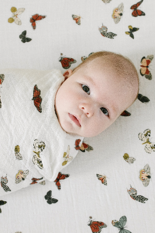 Babesta Butterfly Crib Sheet 