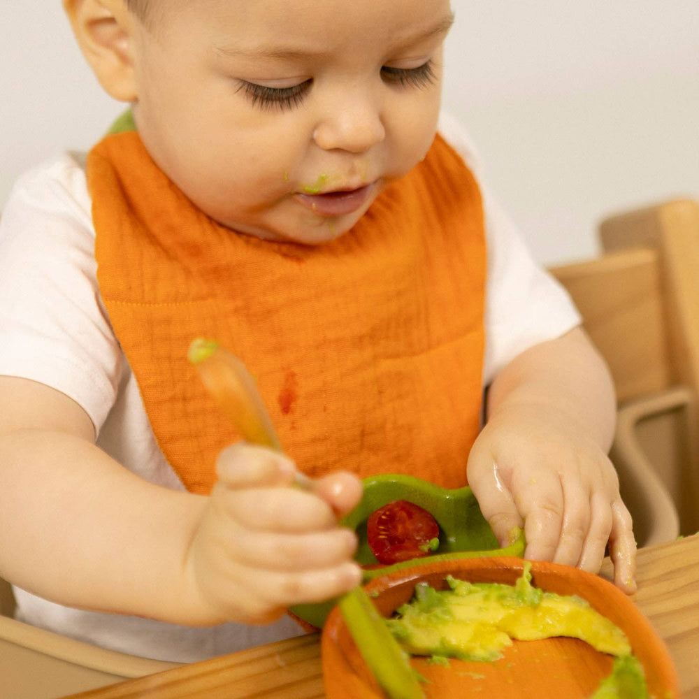 Babesta Cathy The Carrot Bib by Oli & Carol