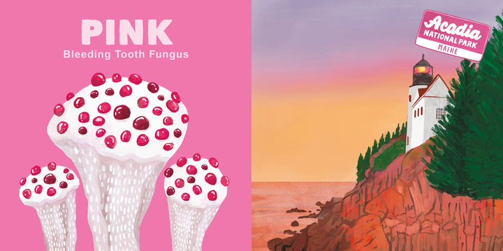 Babesta Colors of the National Parks Board Book