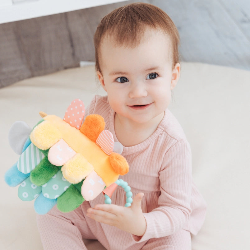 Babesta  Hedgehog Snuggly by Pearhead