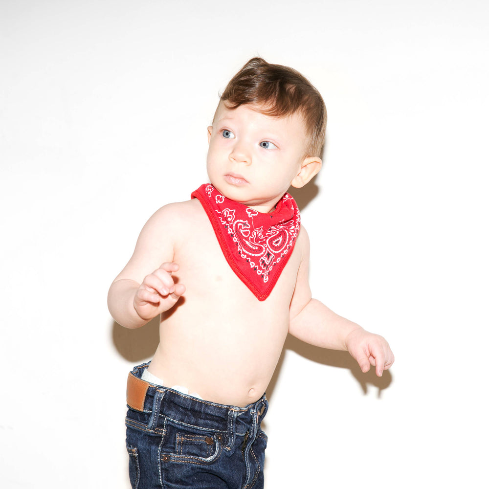 Babesta Hipsterkid Bandana Bibs Pickles