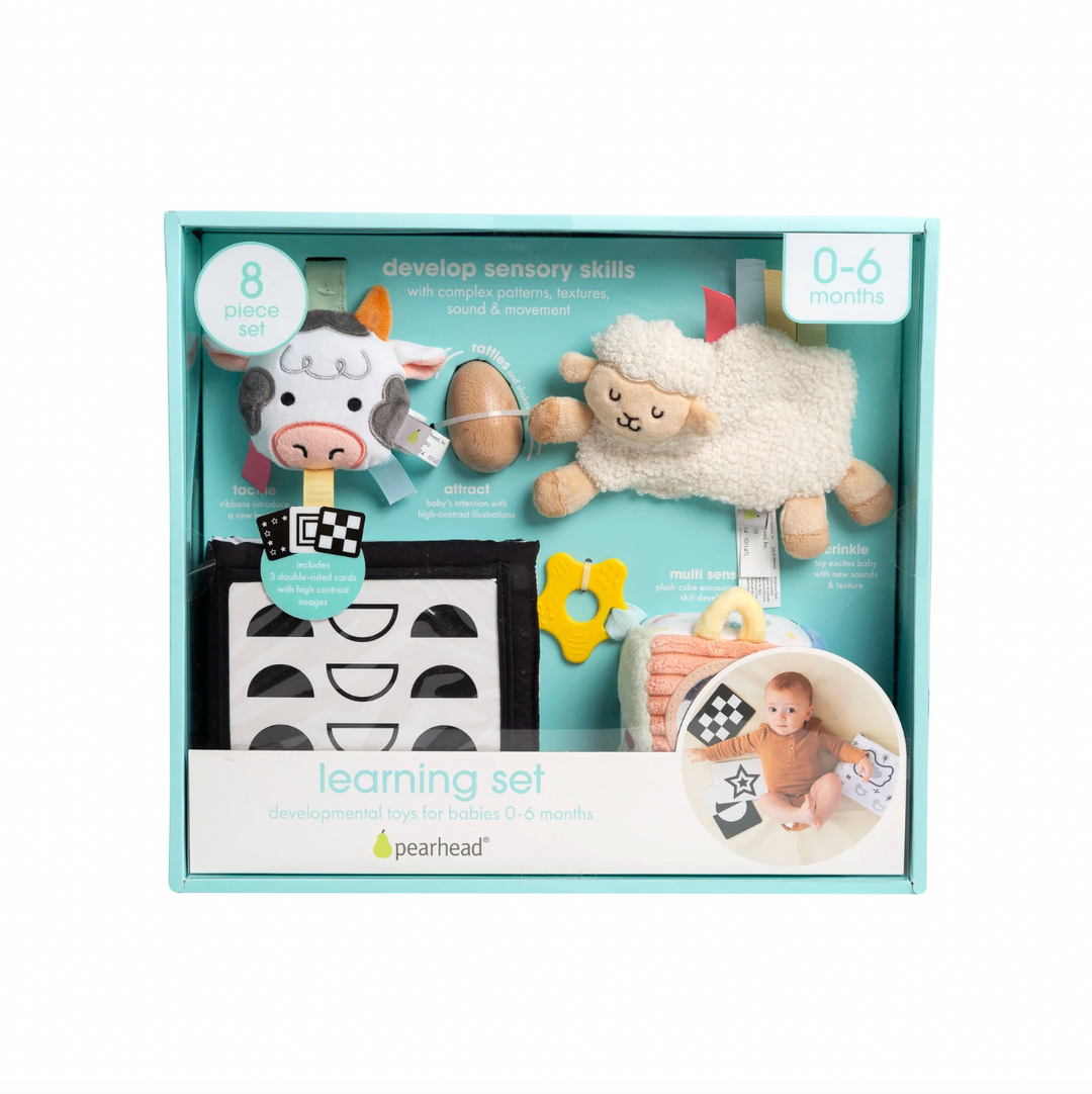 Babesta Learning Kit 0-6 Months by Pearhead