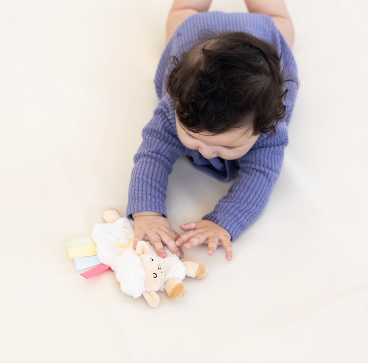 Babesta Learning Kit 0-6 Months by Pearhead