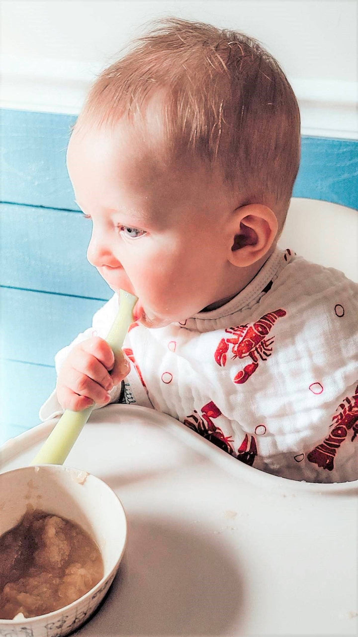 Babesta Lobster Baby Burp Cloth and Bib