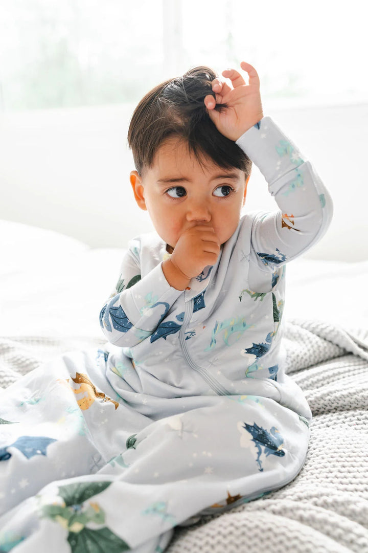 Babesta Sleep Bag 1.0 TOG Magical Dragons by Loulou Lollipop