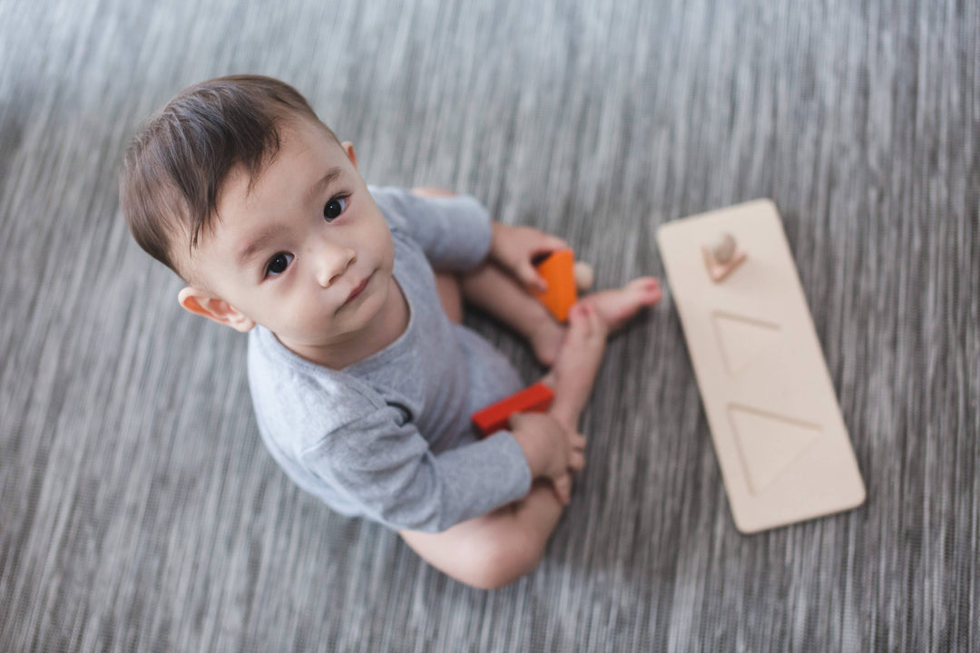 Babesta Triangle Matching Puzzle by PlanToys