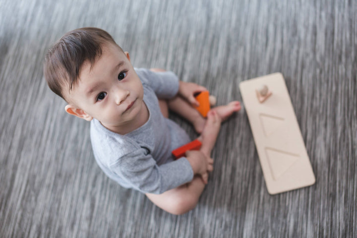 Babesta Triangle Matching Puzzle by PlanToys