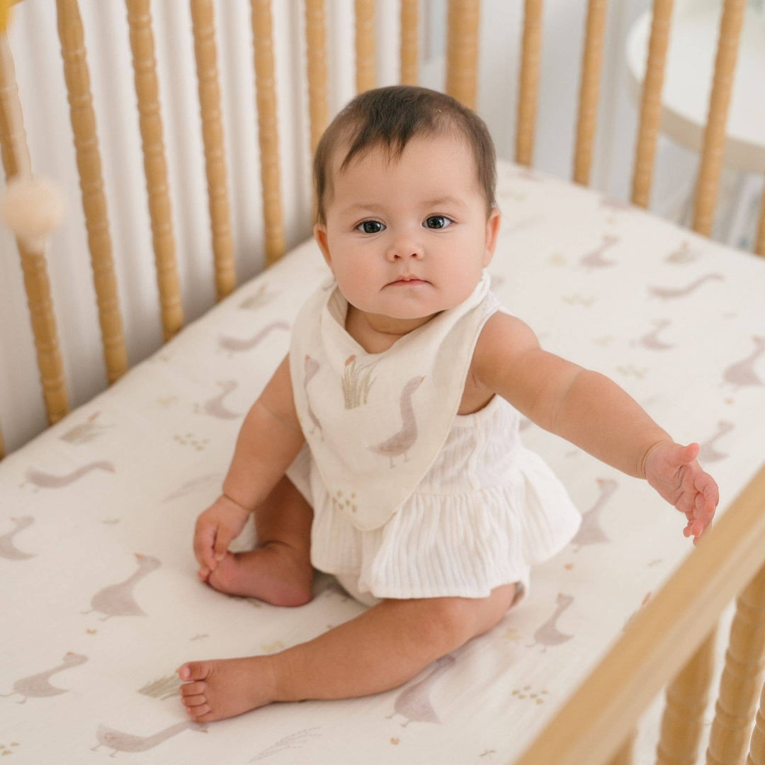 Charlie 3-pc. Farmhouse Goose Bib Set