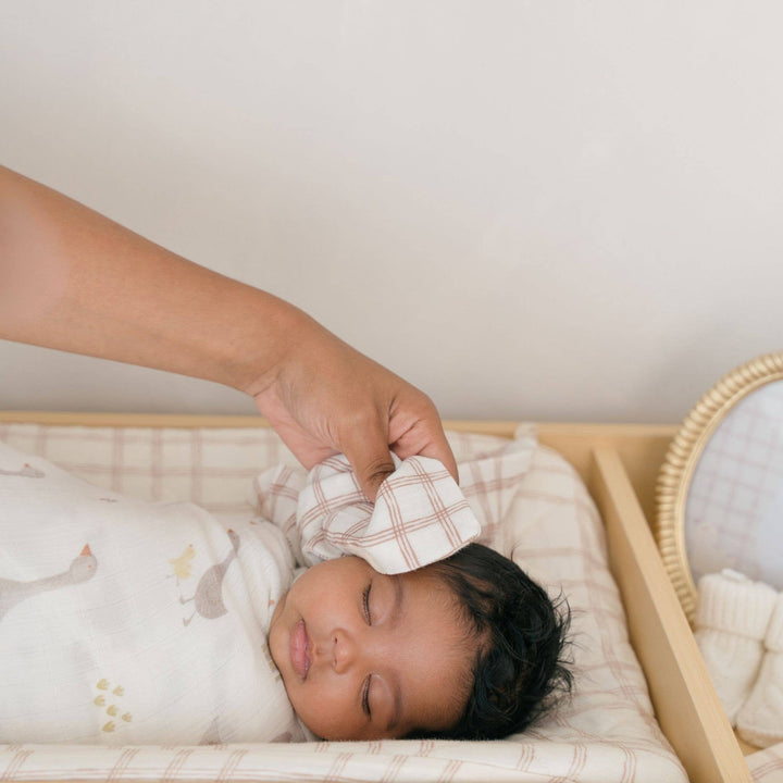 Farmhouse Goose Towel & Wash Cloth Set