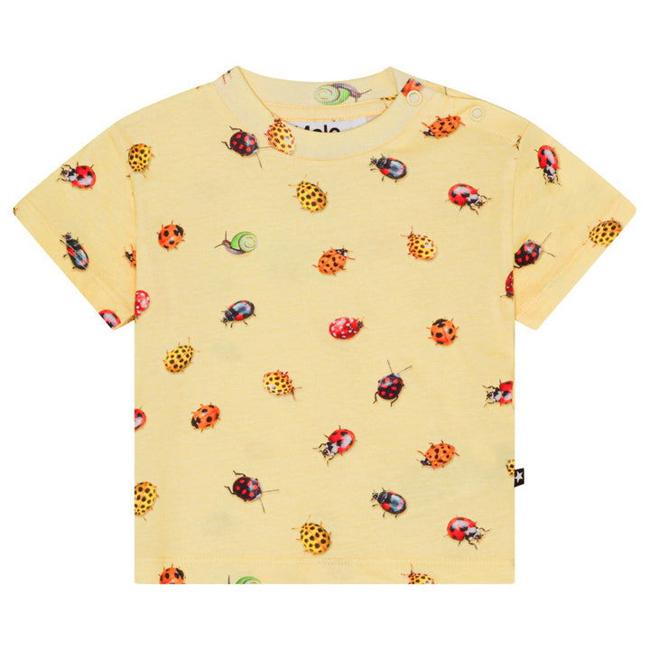 Enzo Coccinella Bugs Tee by Molo