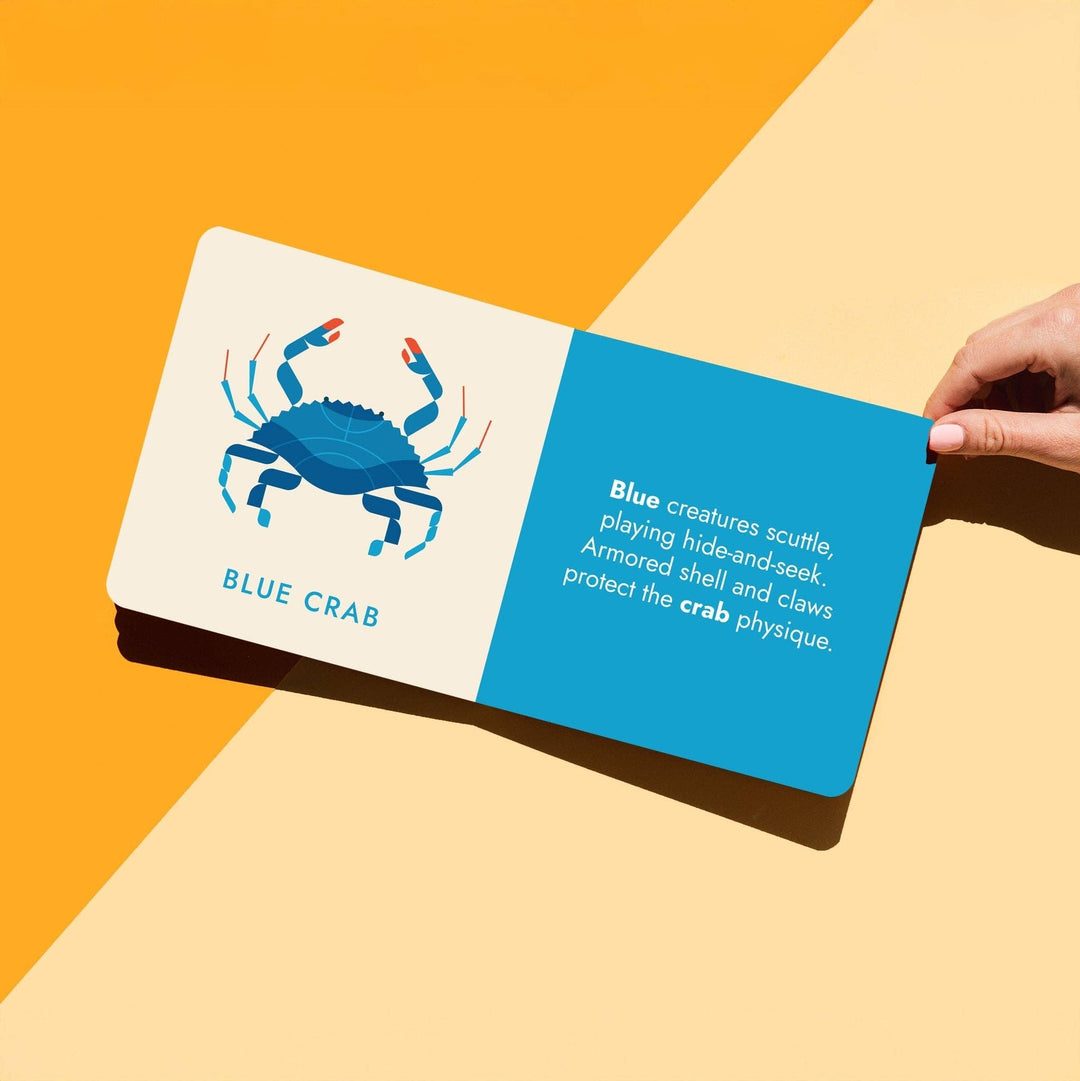 Seafood Rainbow Board Book by Chunky Deli!