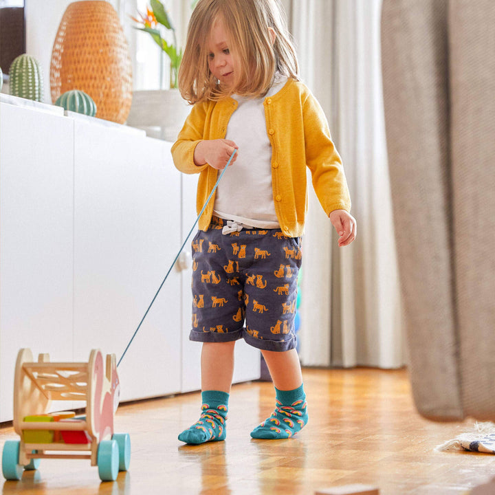 Squirrel Pull-Along Toy & Sorting Box 