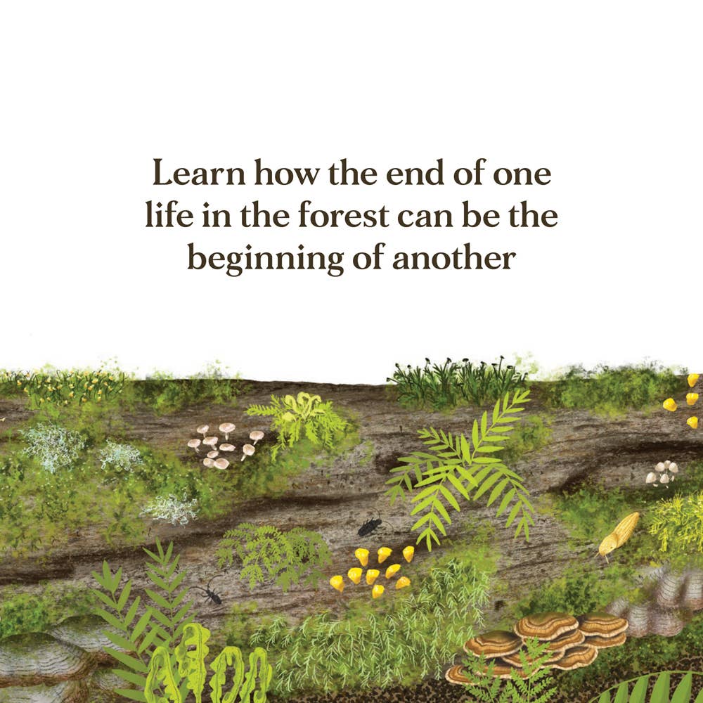 When a Tree Falls Book