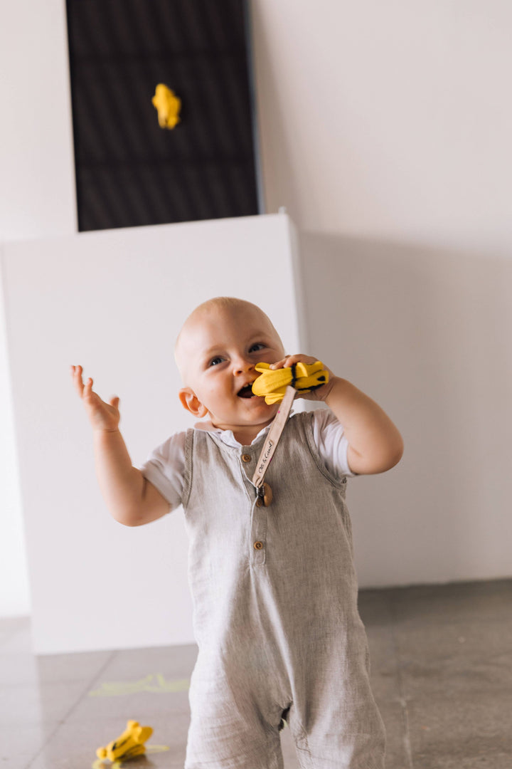 Ana Banana - Pop Art