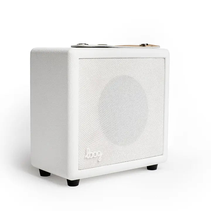 Mini Amplifier by Loog