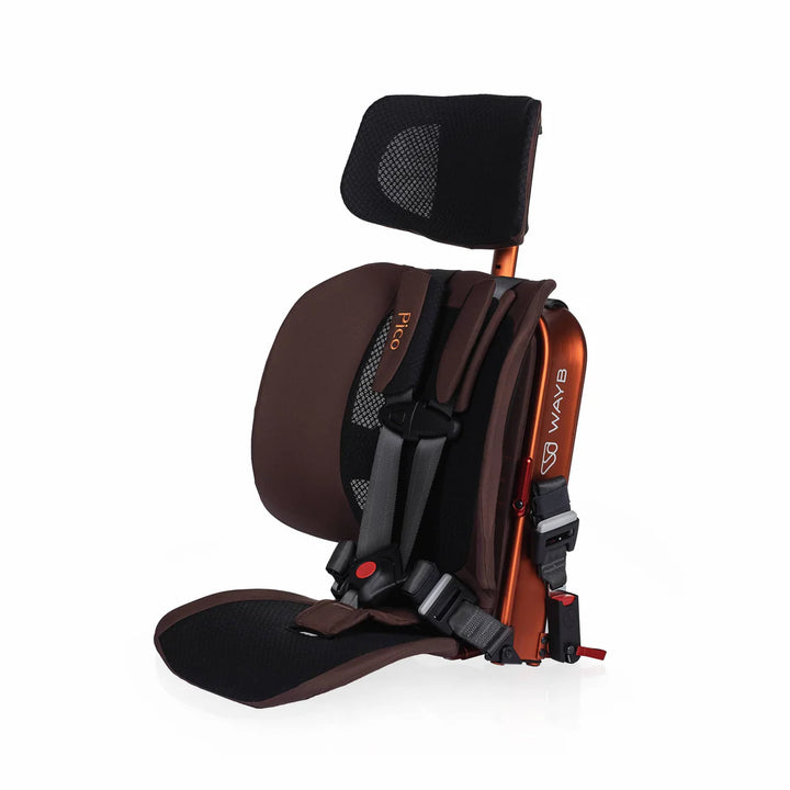 Pico Car Seat - by Wayb at Babesta