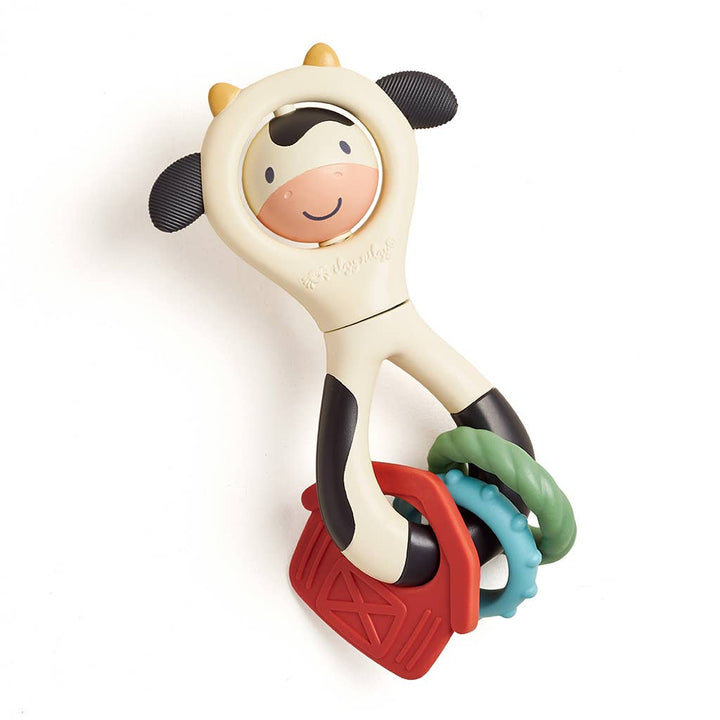 Itzy Spinner - Toy & Teether
