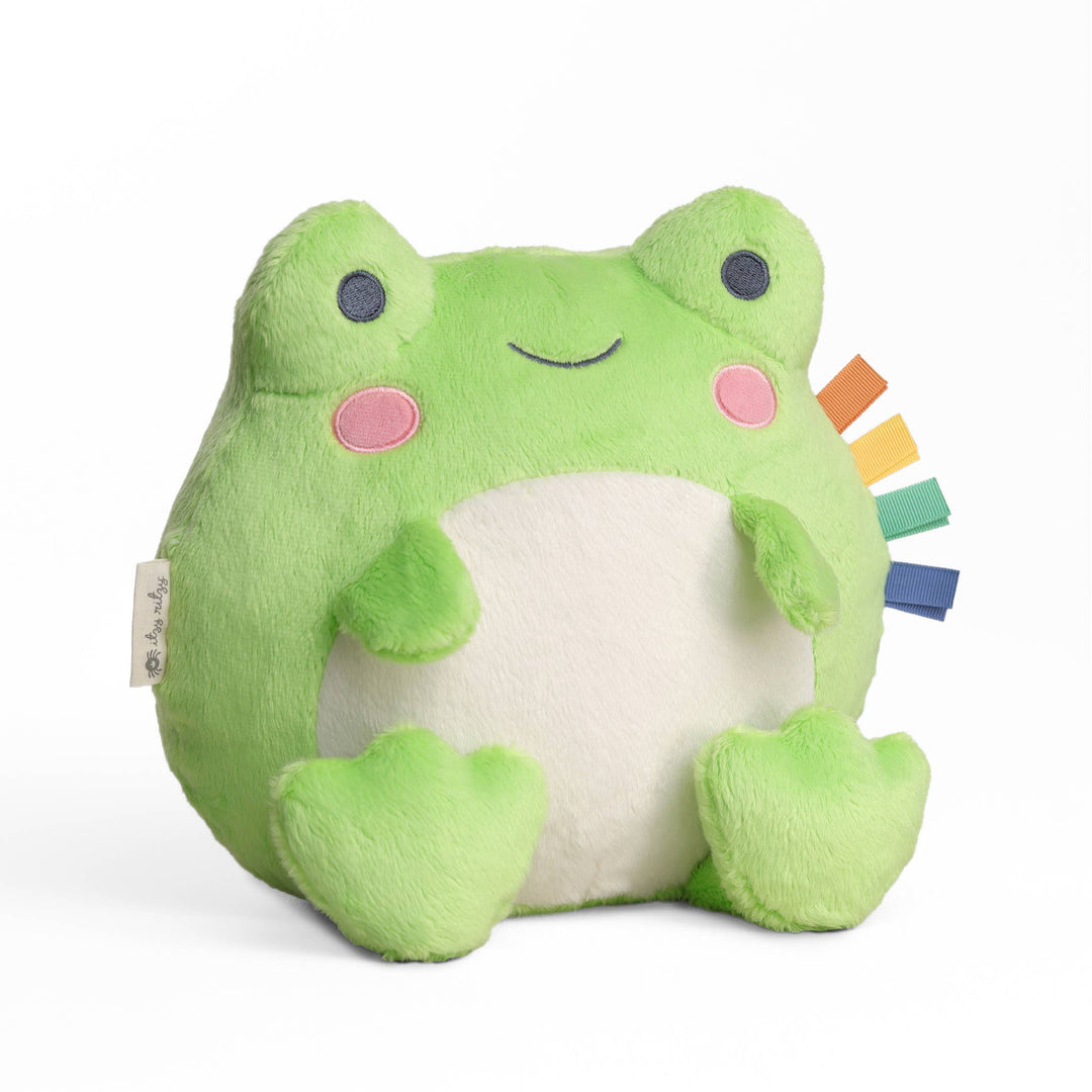 Sweetie Snuggles Plush - Frog