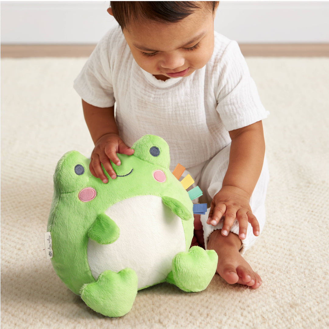 Sweetie Snuggles Plush - Frog