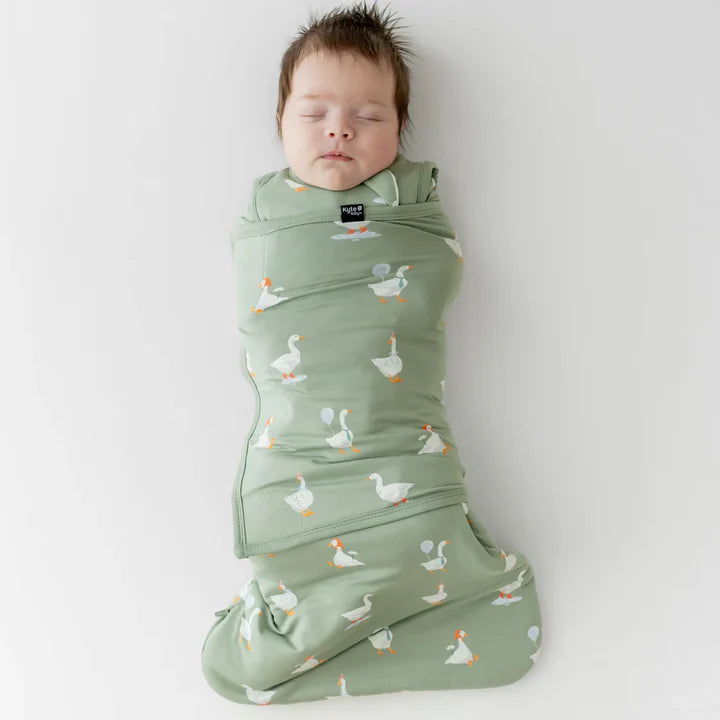 Baby swaddled in a green blanket with duck pattern on a white background