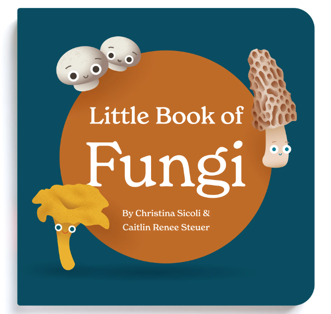 Little Book of Fungi by Chunky Deli