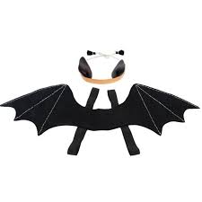 Batwings and Headpiece Dress Up Kit by Meri Meri